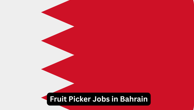 Fruit Picker Jobs in Bahrain: Seasonal Work With Real Demand